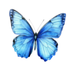 Design sem nome (20)